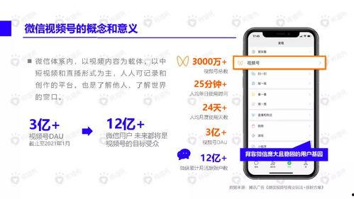 吃瓜小哥網(wǎng)紅視頻下載安裝,輕松獲取熱門(mén)內(nèi)容