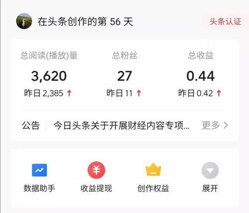 今日頭條沒有收益嘛,揭秘?zé)o收益背后的真相與應(yīng)對策略