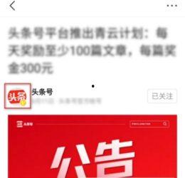 衡水今日頭條怎么私信他,揭秘私信功能，輕松與頭條小編互動交流